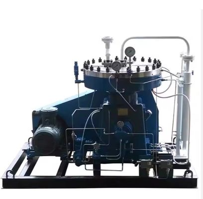Diyafram Kompresörü Gaz Hava Hidrojen Güvenilir Çin Tedarikçisi Hiçbir Kirliliğe Neden Değil Orta Oem Odm Servisi